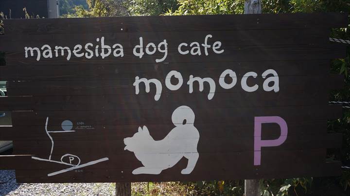 Mameshiba Dog Cafe "momoca" in Kochi Pref. 豆柴ドッグカフェ「momoca」高知県