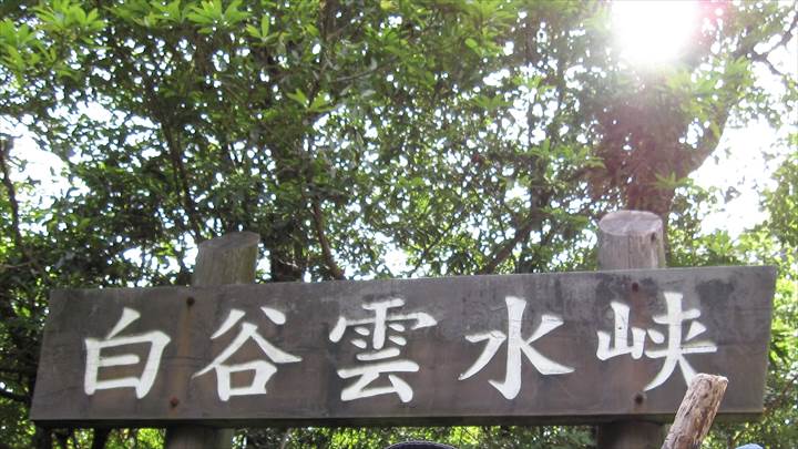 Yakushima Island National Park, World Natural Heritage in Japan 世界自然遺産 屋久島