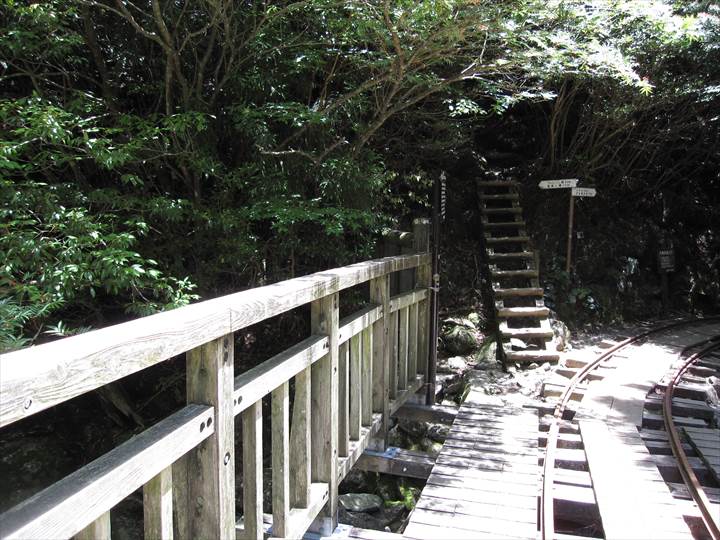 Yakushima Island National Park, World Natural Heritage in Japan 世界自然遺産 屋久島