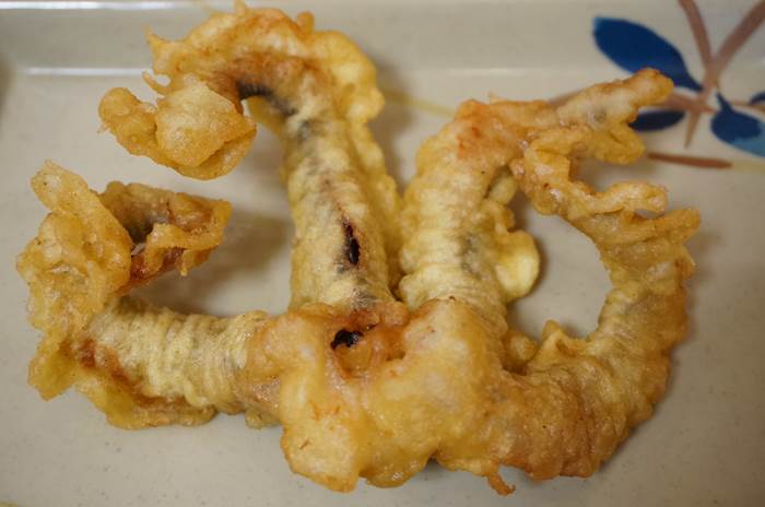 Hanamaru Udon はなまるうどん Squid arms tempura げそ天