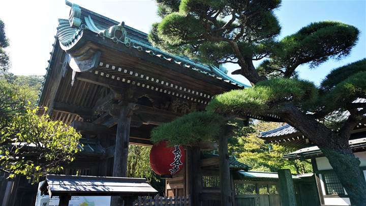 Hasedera Temple 長谷寺 - Kamakura 鎌倉