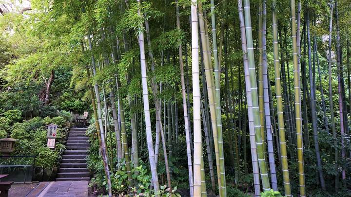 Hasedera Temple 長谷寺 - Kamakura 鎌倉