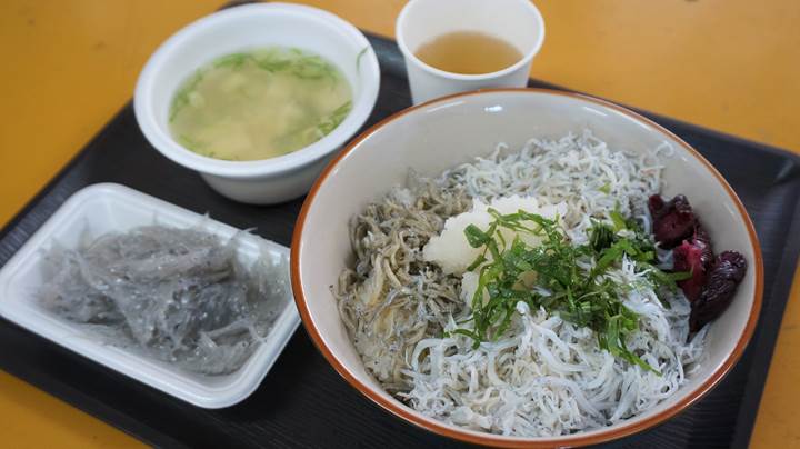 Whitebait Bowl (Chirimen-don ちりめん丼 / Shirasu-don しらす丼)