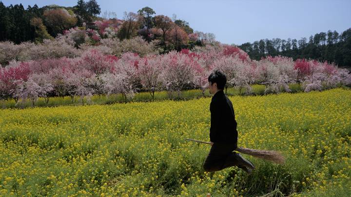 Nishigawa Flower Park in Konan City Kochi Prefecture 高知県香南市 西川花公園