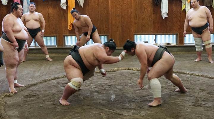 Sumo 相撲 力士 玉ノ井部屋 TAMANOIBEYA