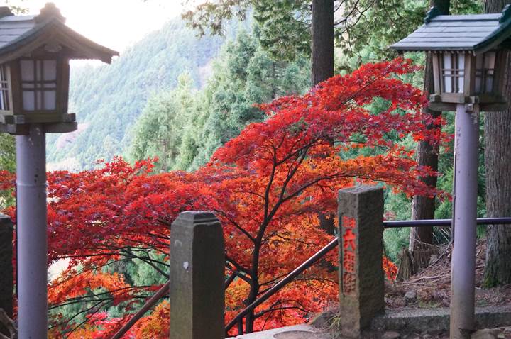 大山 Mt. Oyama 大山阿夫利神社 Oyama Afuri Shrine