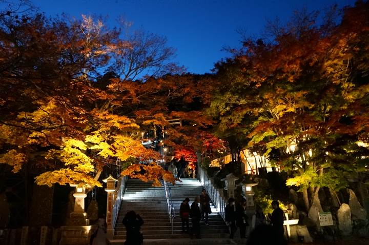 大山 Mt. Oyama 大山阿夫利神社 Oyama Afuri Shrine