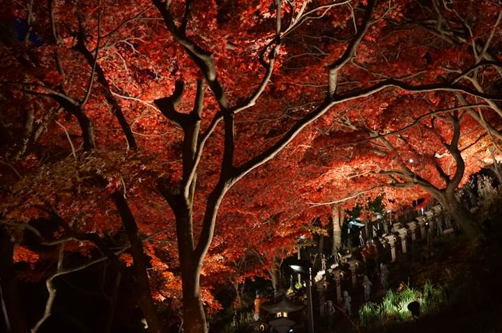 大山 Mt. Oyama 大山寺 Oyama-dera Temple