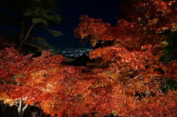 大山 Mt. Oyama 大山寺 Oyama-dera Temple