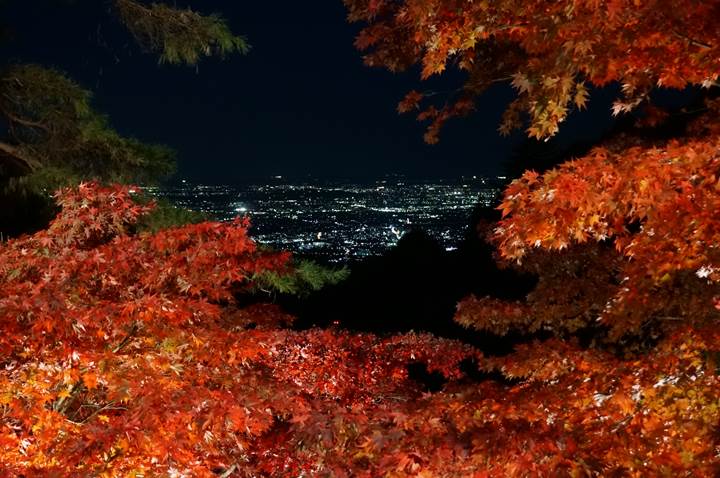 大山 Mt. Oyama 大山寺 Oyama-dera Temple