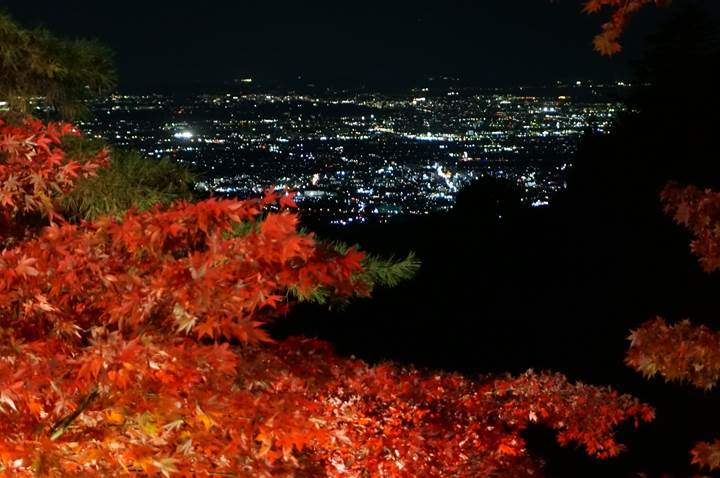 大山 Mt. Oyama 大山寺 Oyama-dera Temple