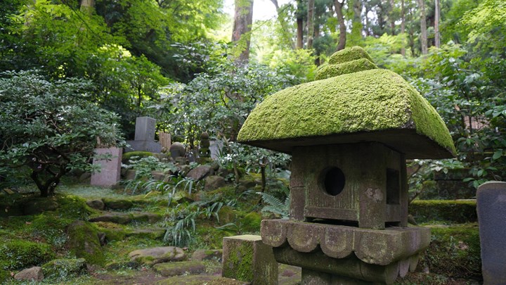 Tokeiji Temple 東慶寺