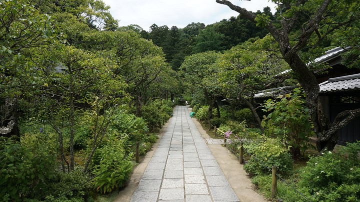 Tokeiji Temple 東慶寺