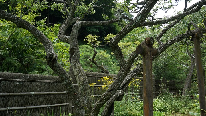 Tokeiji Temple 東慶寺