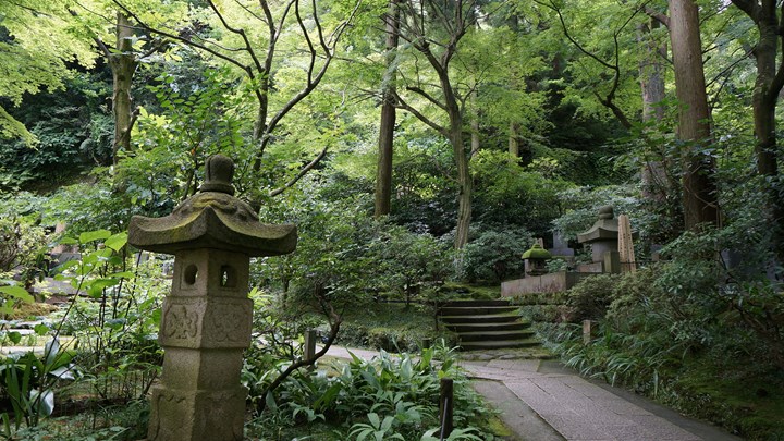 Tokeiji Temple 東慶寺