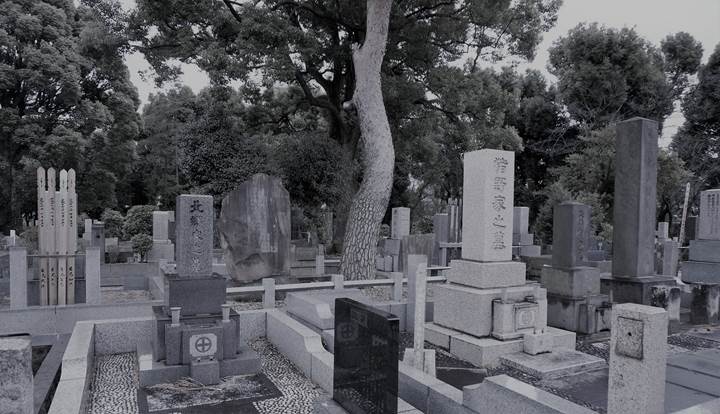 Aoyama Cemetery 青山墓地 青山霊園