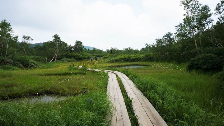 Tsugaike Natural Park 栂池自然園