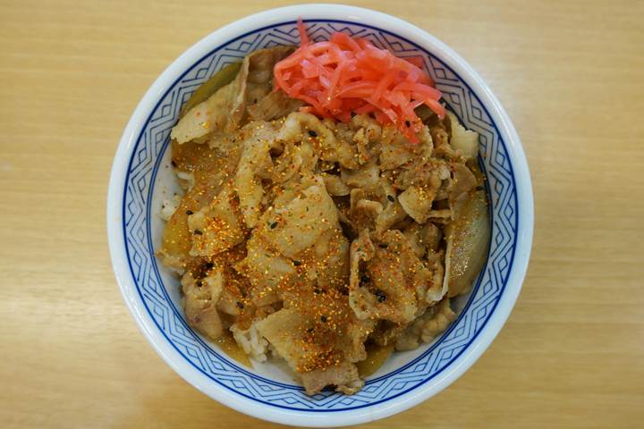 Pork Bowl YOSHINOYA 豚丼 吉野家