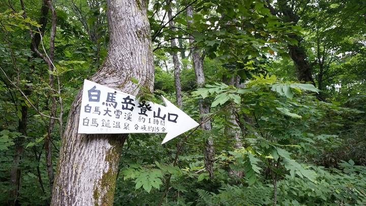 Mt. Shiroumadake Mt. Shirouma 白馬岳