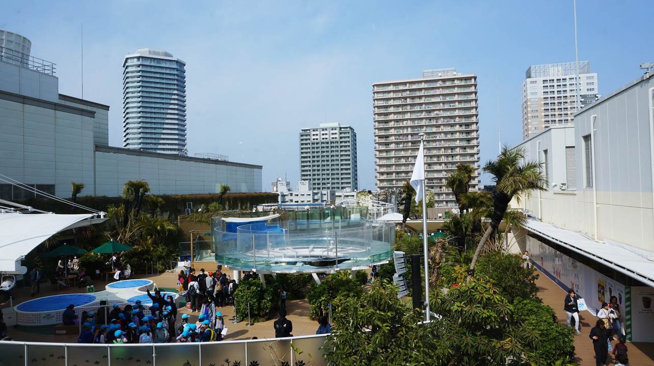 サンシャイン水族館 sunshine aquarium