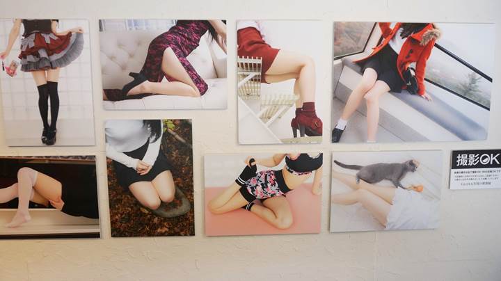 ふともも写真の世界展 World of Thigh Photo Exhibition