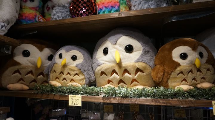 HARAJUKU OWL'S FOREST 原宿乃フクロウの森