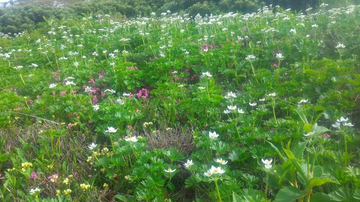 Mt. Tsurugidake 剱岳