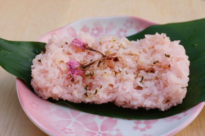 Cherry Blossom さくら 桜 サクラ Sakura