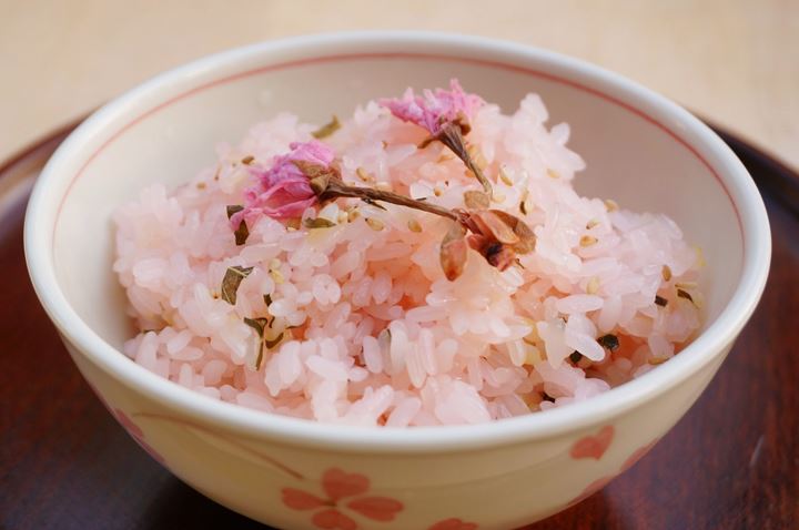 Cherry Blossom さくら 桜 サクラ Sakura