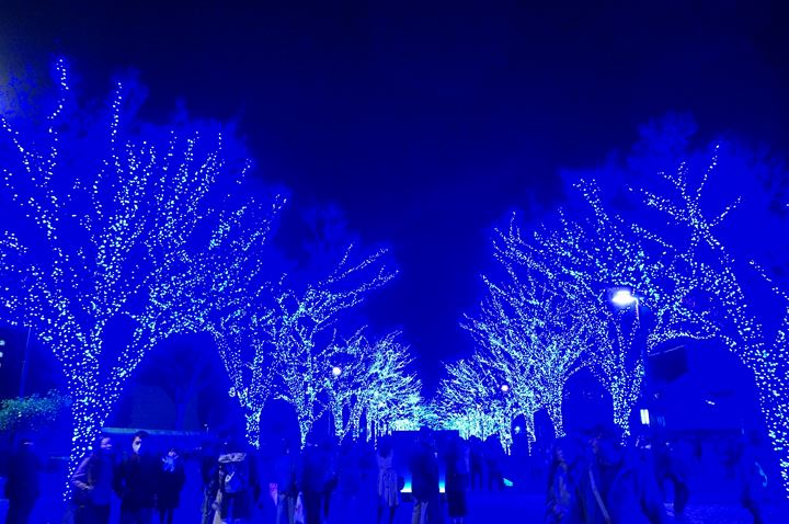 青の洞窟 SHIBUYA - Aonodokutsu 青の洞窟 Blue Cave Illumination in Shibuya Tokyo 東京 渋谷