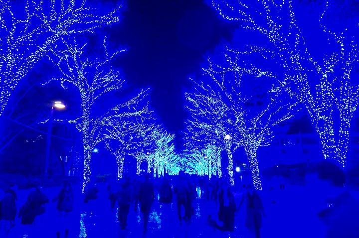 青の洞窟 SHIBUYA - Aonodokutsu 青の洞窟 Blue Cave Illumination in Shibuya Tokyo 東京 渋谷