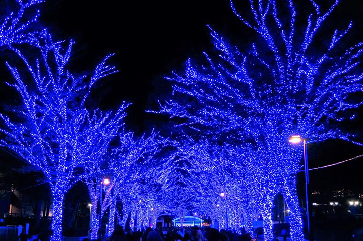 青の洞窟 SHIBUYA - Aonodokutsu 青の洞窟 Blue Cave Illumination in Shibuya Tokyo 東京 渋谷