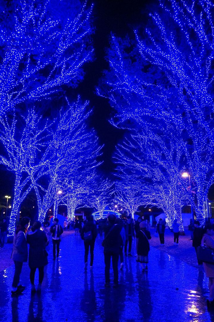 青の洞窟 SHIBUYA - Aonodokutsu 青の洞窟 Blue Cave Illumination in Shibuya Tokyo 東京 渋谷