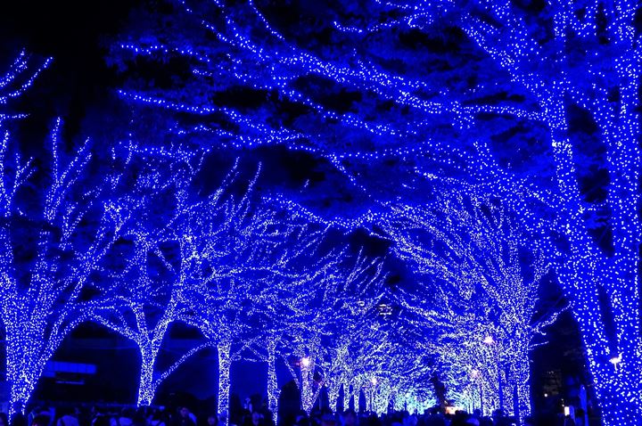 青の洞窟 SHIBUYA - Aonodokutsu 青の洞窟 Blue Cave Illumination in Shibuya Tokyo 東京 渋谷