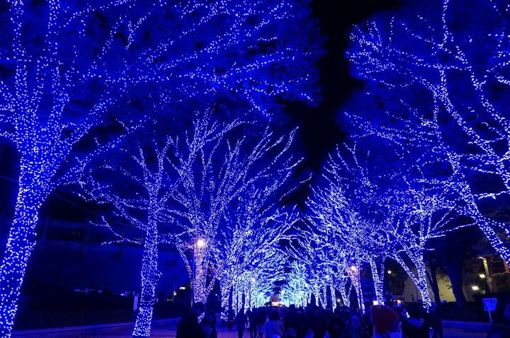 青の洞窟 SHIBUYA - Aonodokutsu 青の洞窟 Blue Cave Illumination in Shibuya Tokyo 東京 渋谷