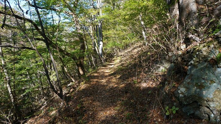 Ryuokyo Ravine 龍王峡