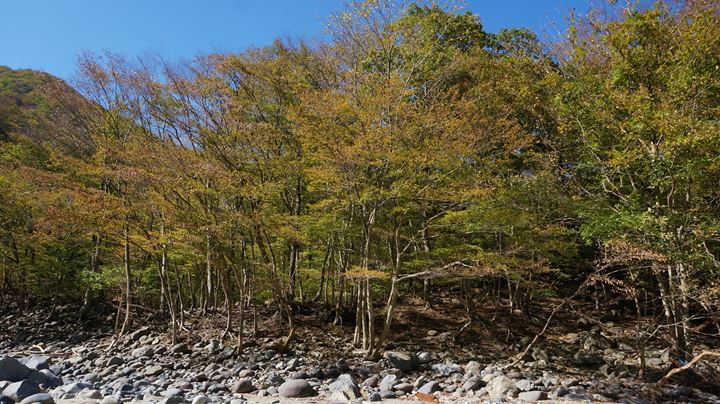 Ryuokyo Ravine 龍王峡