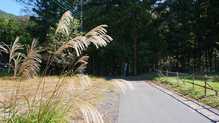 Ryuokyo Ravine 龍王峡