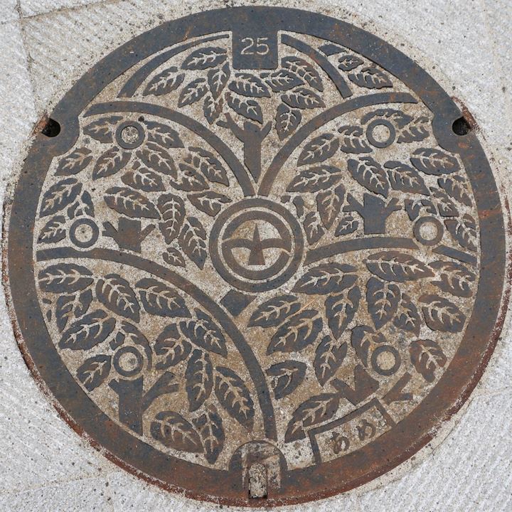Manhole (Minami-machida Grandberry Park) マンホール 南町田グランベリーパーク