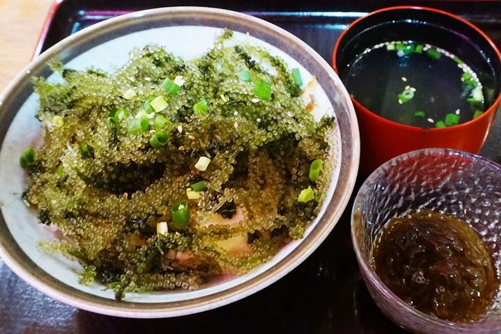 Umibudo Green Caviar Sea Grapes Okinawan Cuisine MIYARABI 沖縄宮廷 琉球料理 みやらび 海ぶどう丼