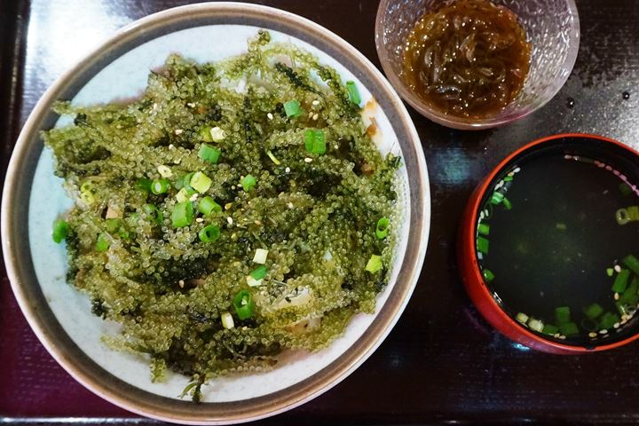 Umibudo Green Caviar Sea Grapes Okinawan Cuisine MIYARABI 沖縄宮廷 琉球料理 みやらび 海ぶどう丼