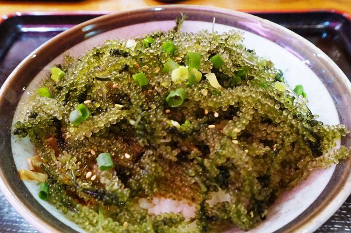 Umibudo Green Caviar Sea Grapes Okinawan Cuisine MIYARABI 沖縄宮廷 琉球料理 みやらび 海ぶどう丼