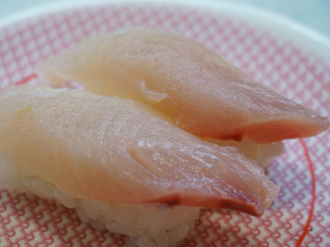 KAPPASUSHI (KAPPAZUSHI) かっぱ寿司