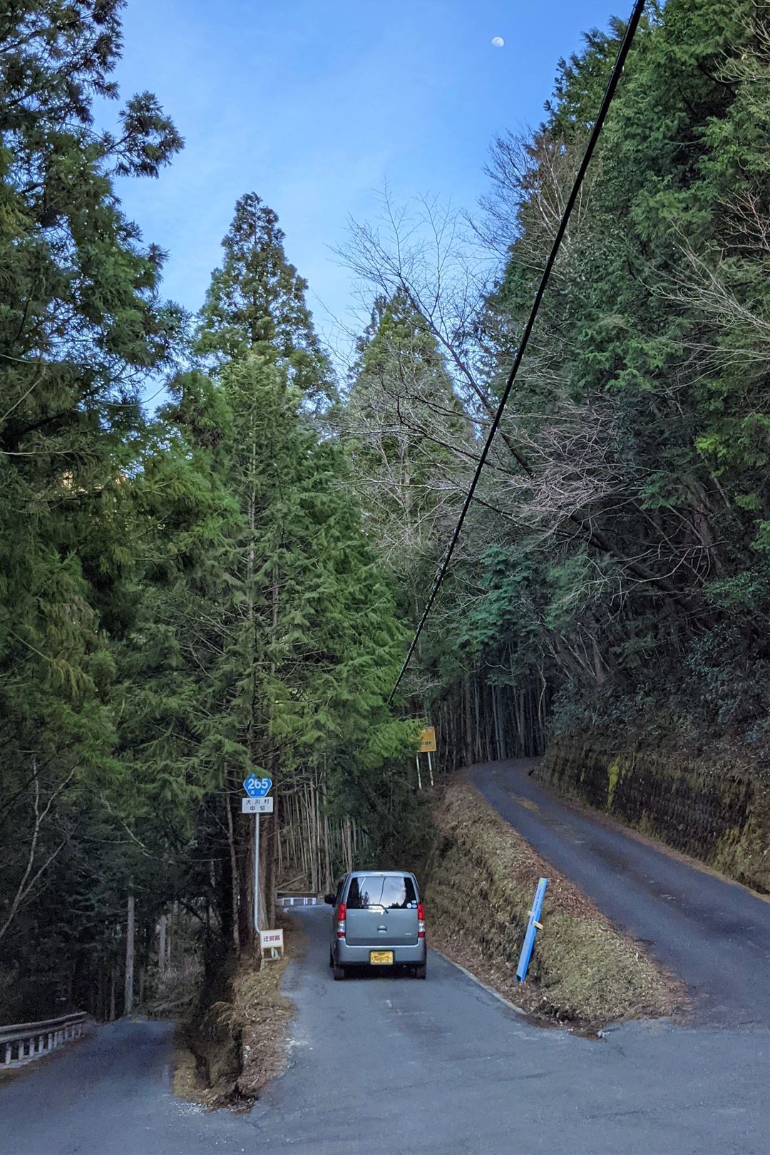 高知県土佐郡大川村 Okawa Village Kochi Prefecture