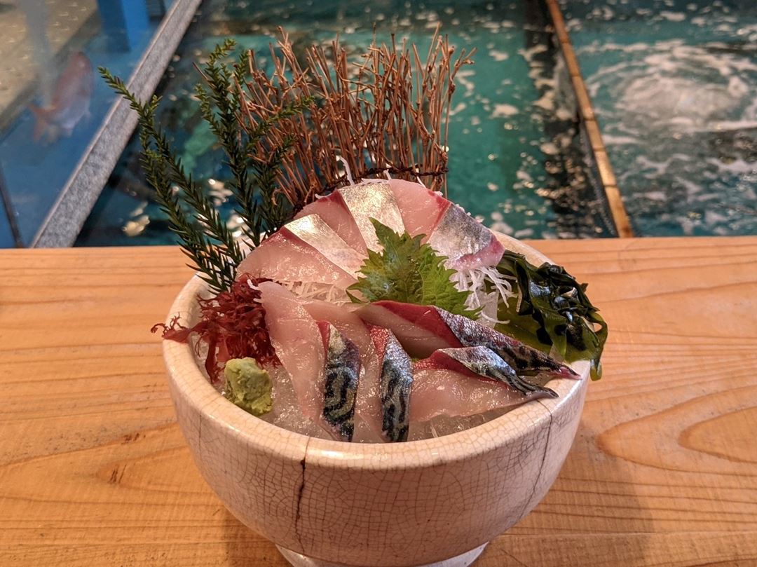 Mackerel Sashimi 鯖刺身 Kochi Seafood RYOMA 高知 魚料理屋 活魚 漁ま