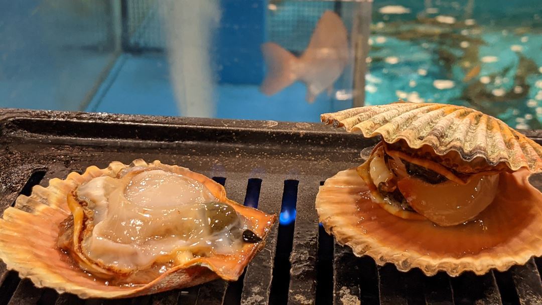 Chotaro Scallop 長太郎貝 Grilled Shellfish Plate 貝焼盛り合わせ Kochi Seafood RYOMA 高知 魚料理屋 活魚 漁ま