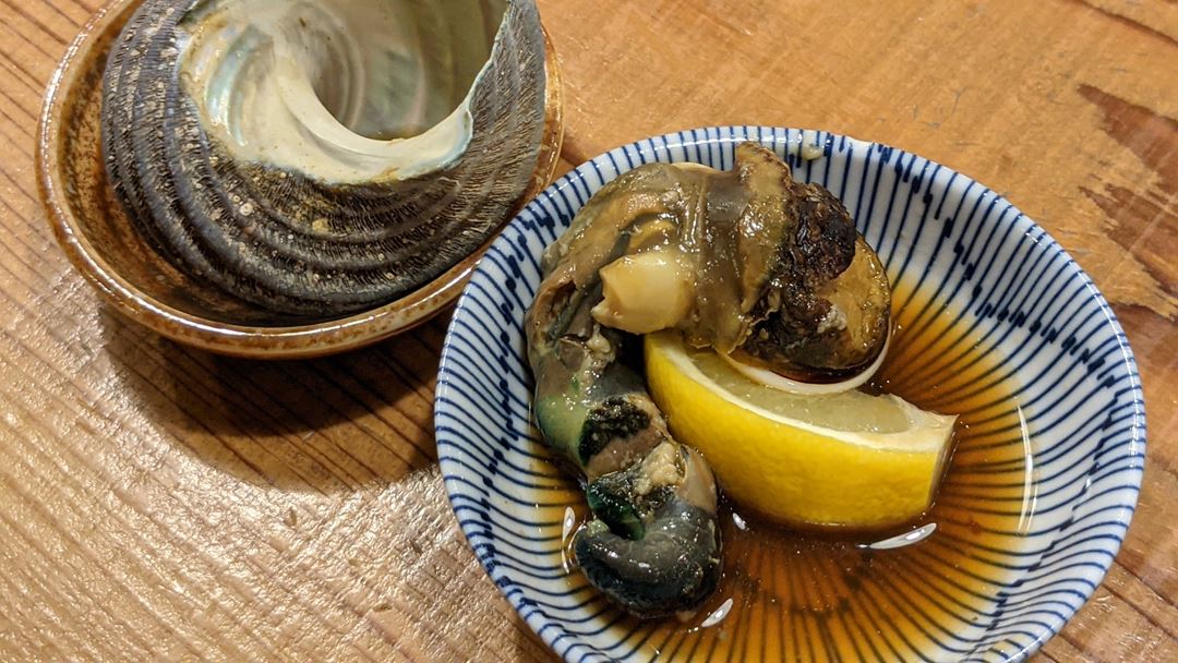 Horned Turban Shell サザエ Grilled Shellfish Plate 貝焼盛り合わせ Kochi Seafood RYOMA 高知 魚料理屋 活魚 漁ま