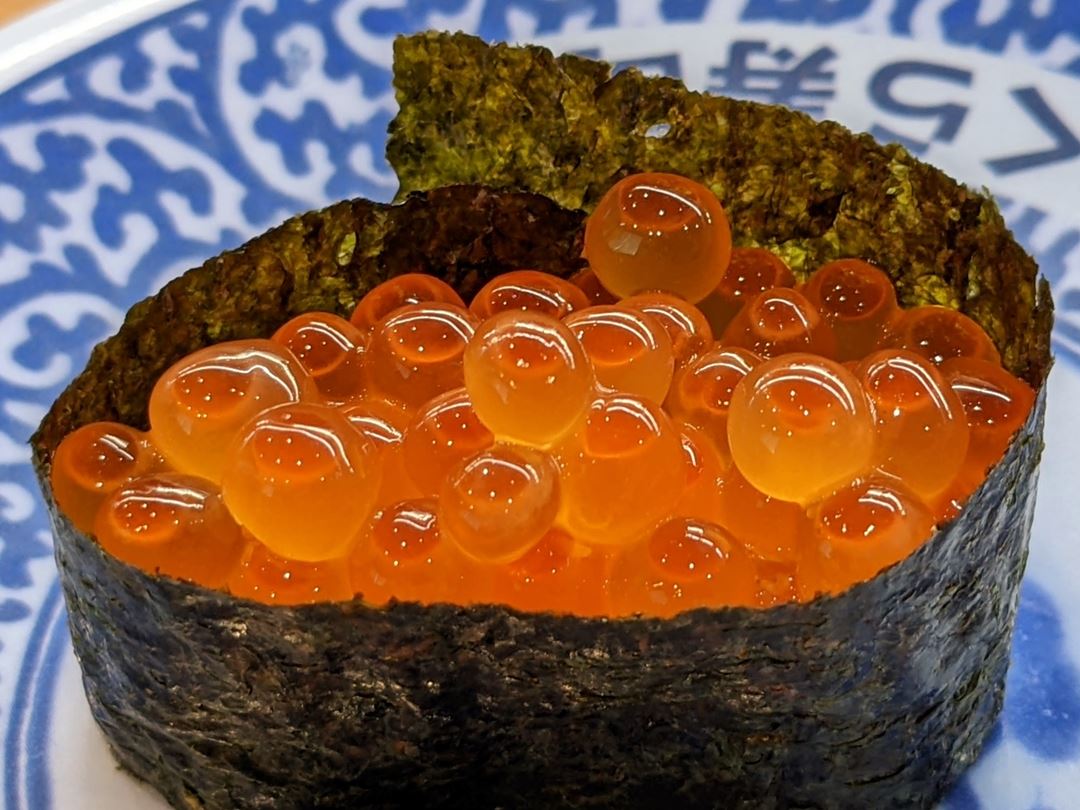 Large Salmon Roe 大粒いくら一貫 Conveyor Belt Sushi Restaurant (Sushi Go Round) KURASUSHI くら寿司