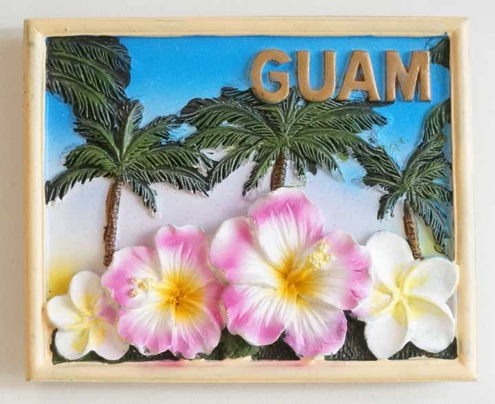 Guam America Souvenir Fridge Magnet ご当地マグネット お土産 アメリカ グアム