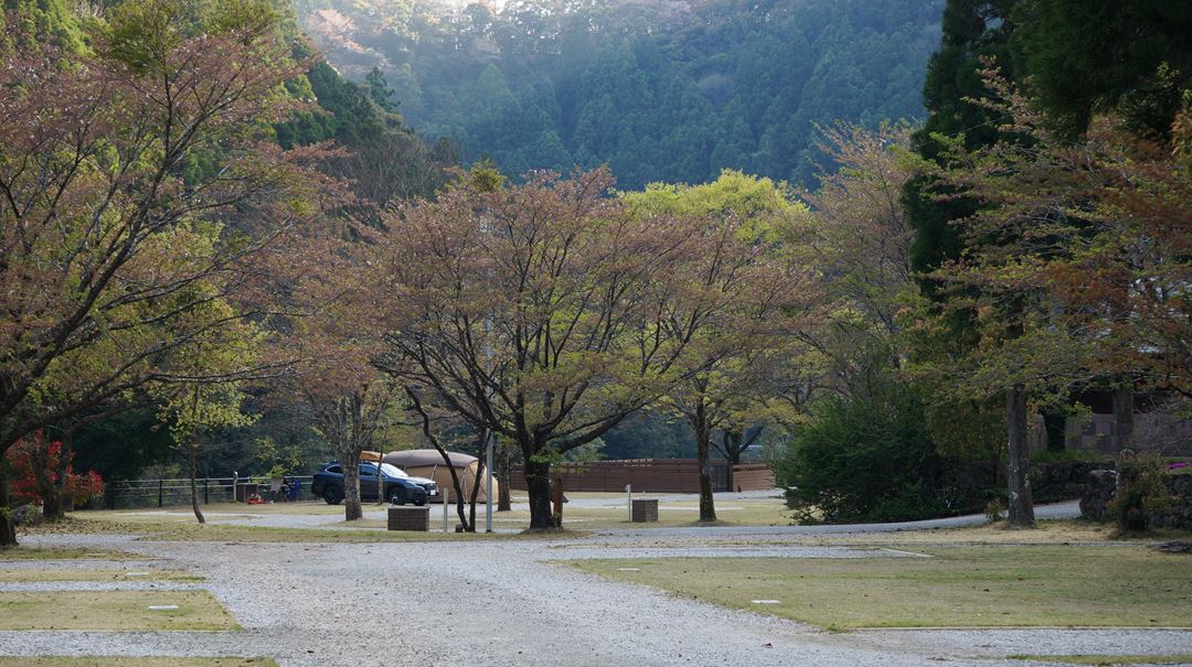 安田川アユおどる清流キャンプ場 高知 Yasudagawa Camp Ground